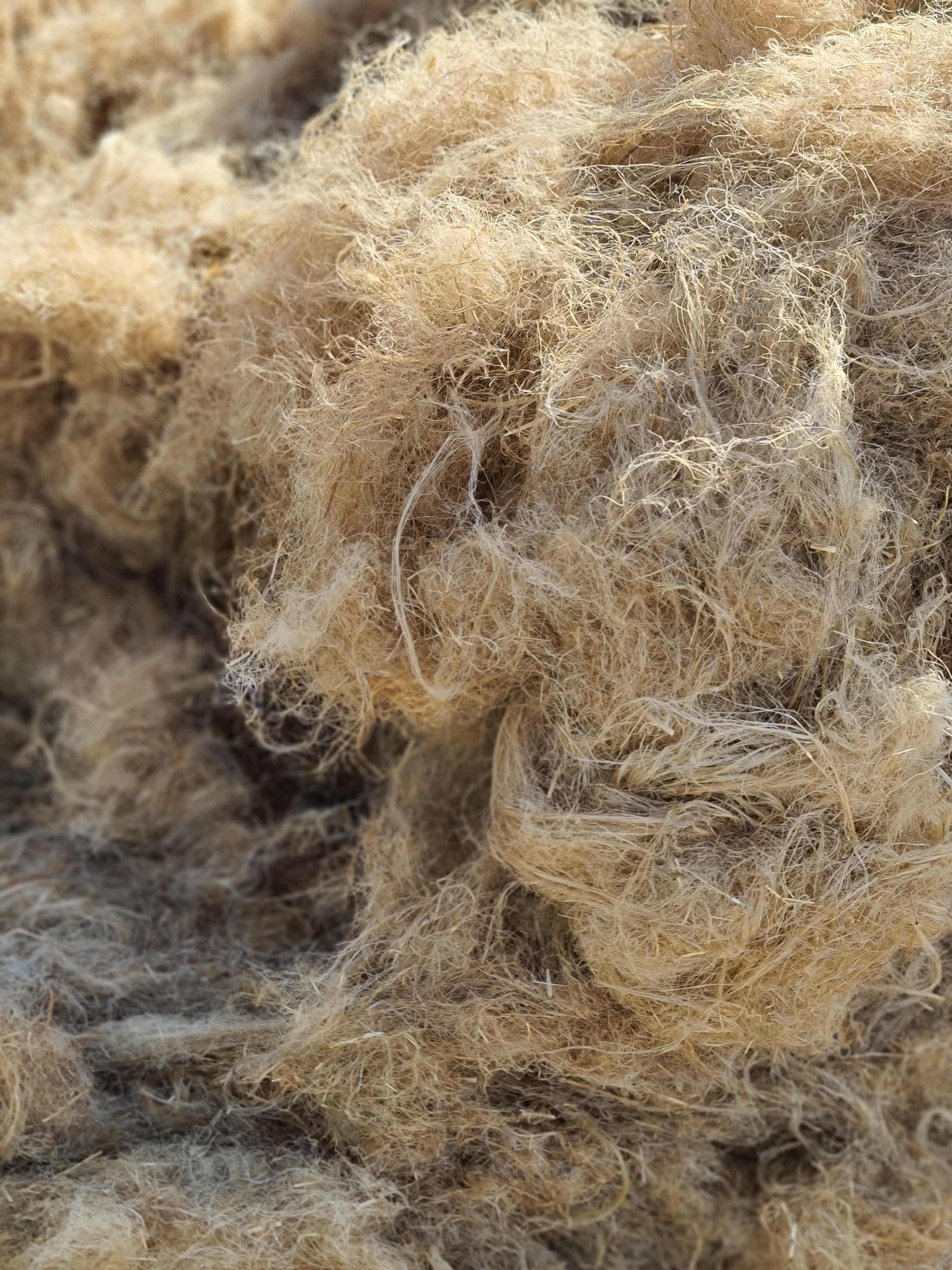 Egyptian flax tow short flax fiber — view 3